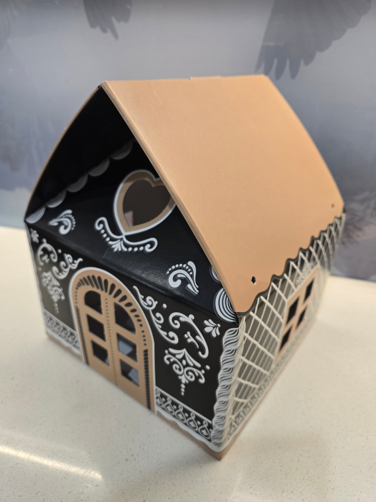 A Large Gift Box for Christmas